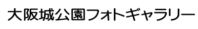 ��������t�H�g�M�������[
